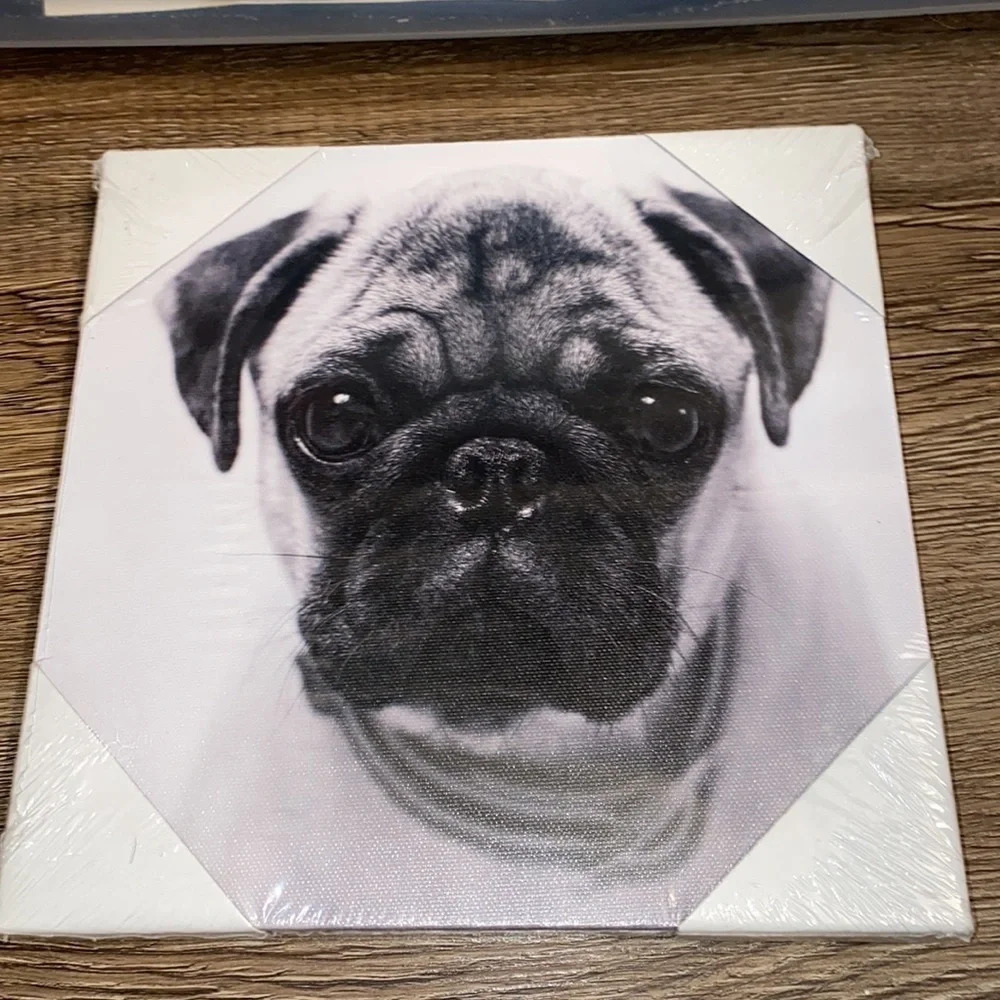 Black and white Dog canvas picture